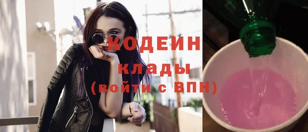 дживик Инта