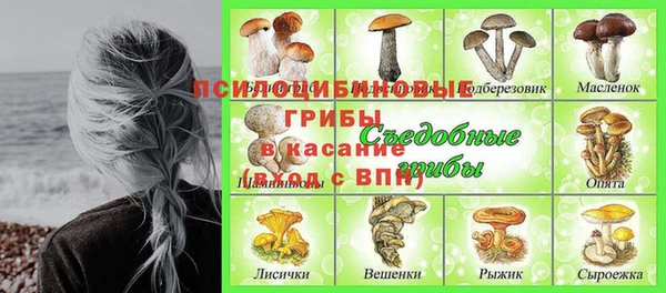 дмт Заволжск