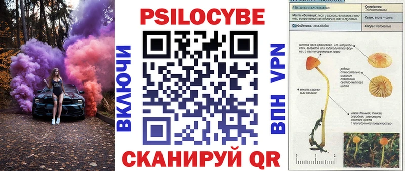 Галлюциногенные грибы мухоморы  наркотики  Кола 
